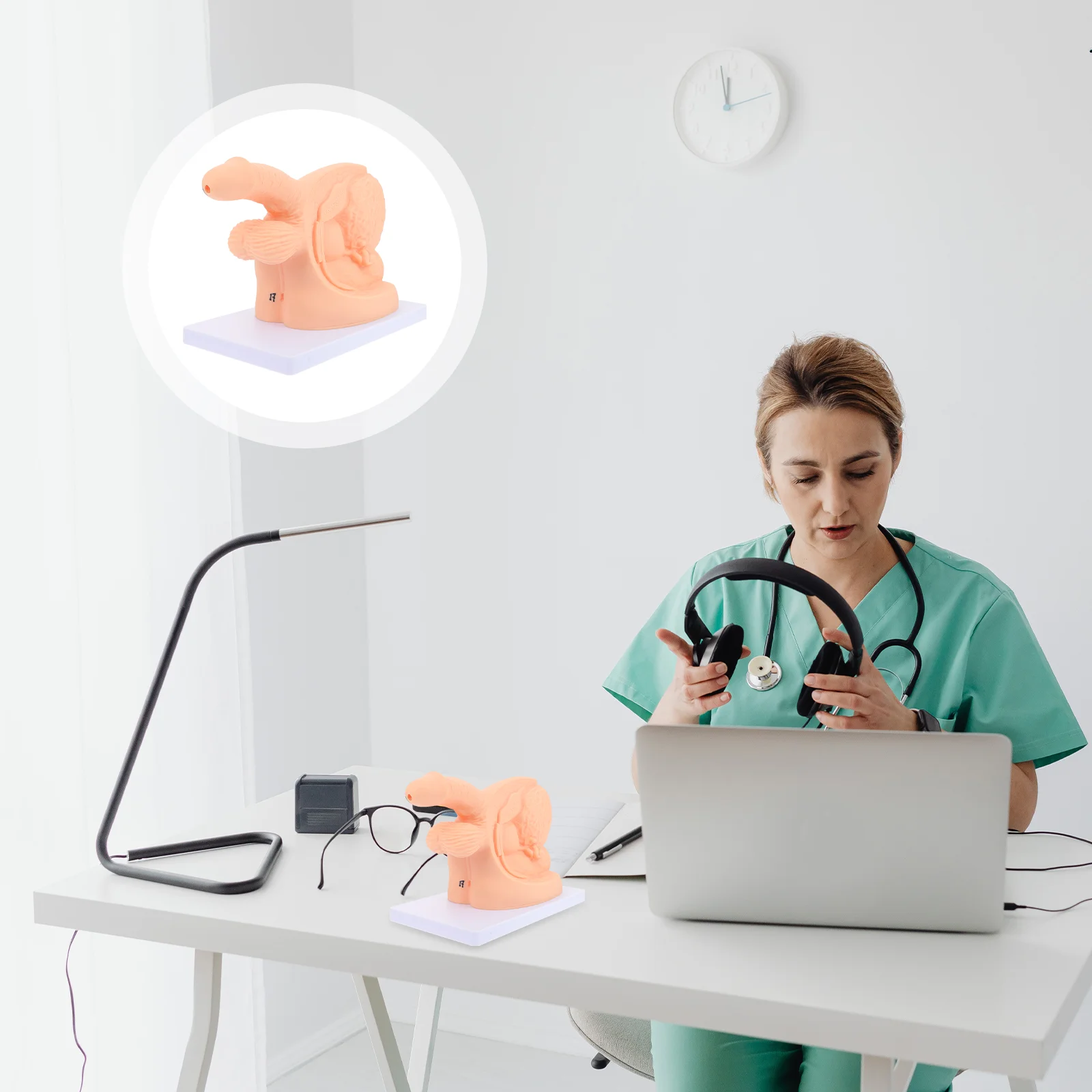 Simple Clinic Display Male Body Catheterization Mold Catheterization Model Model for Display Clinic
Simple Clinic Display Male Body Catheterization Mold Catheterization Model Model for Display Clinic