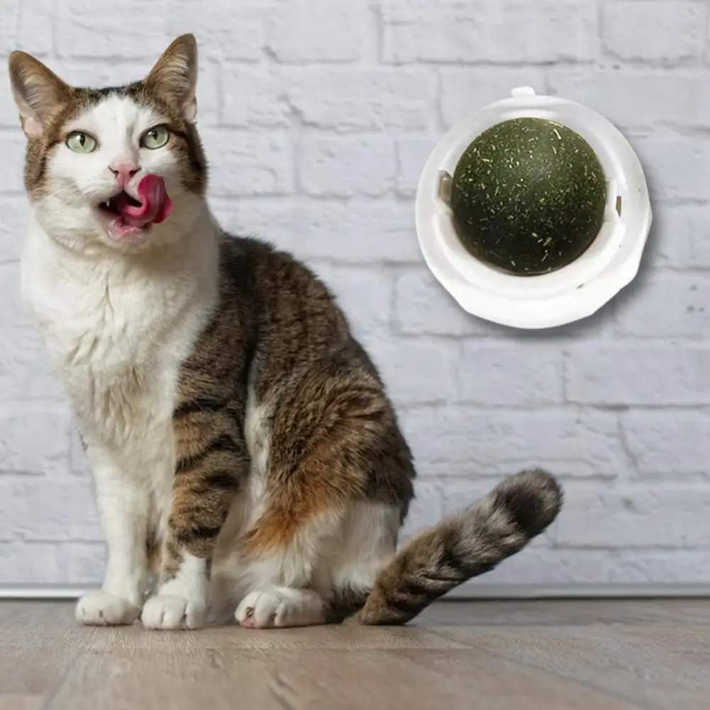 Kitten Toy 360 Degree Rotatable Reusable Arouse Happy Mood Catnip Wall Ball Cat Toy Cat Licking Toy for Kitty
Kitten Toy 360 Degree Rotatable Reusable Arouse Happy Mood Catnip Wall Ball Cat Toy Cat Licking Toy for Kitty