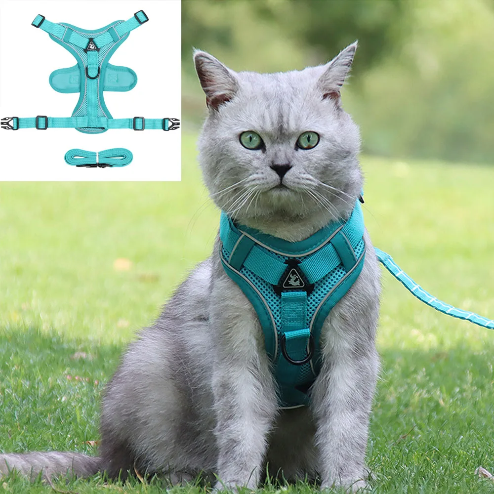Small Dog Cat Harness with Line Adjustable Vest Polyester Mesh Breathable Harnesses Reflective Sti Cat Harness and Leash Set
Small Dog Cat Harness with Line Adjustable Vest Polyester Mesh Breathable Harnesses Reflective Sti Cat Harness and Leash Set