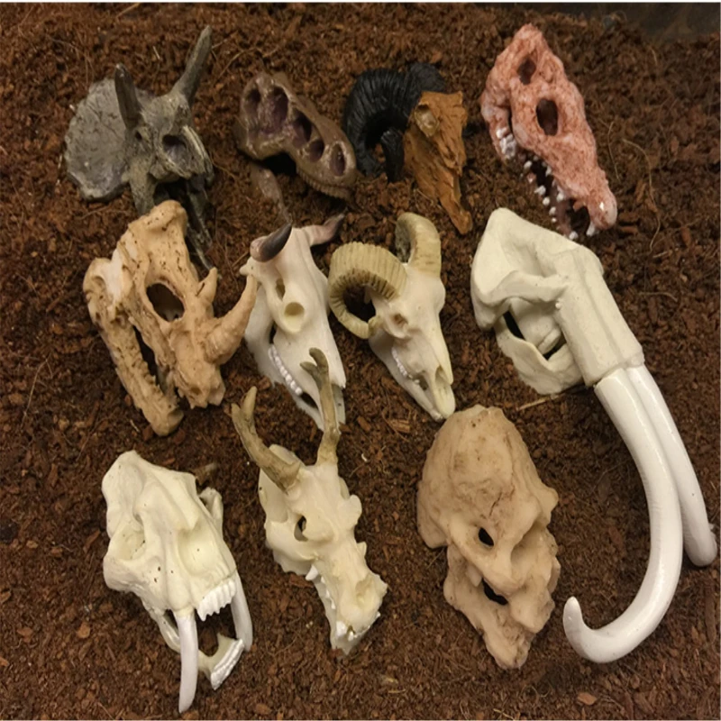 BUF Fish Tank Aquarium Landscaping Decoration Ornaments Resin Skull Reptiles to Avoid Zodiac Skull Decoration
BUF Fish Tank Aquarium Landscaping Decoration Ornaments Resin Skull Reptiles to Avoid Zodiac Skull Decoration