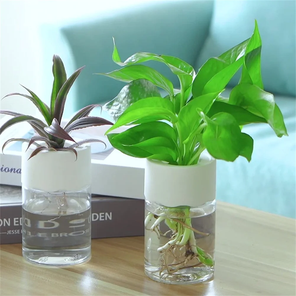1pcs PET Plastic Hydroponic Plant Pots Water Planting Vase Plastic Transparent Stylish Container Tabletop Plants Bonsai
1pcs PET Plastic Hydroponic Plant Pots Water Planting Vase Plastic Transparent Stylish Container Tabletop Plants Bonsai