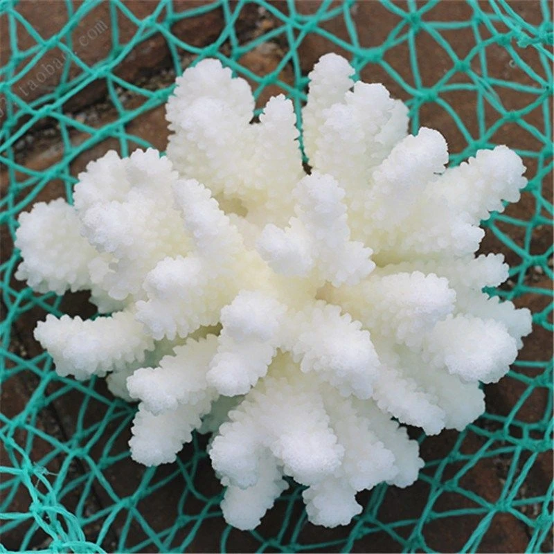 

Natural White Coral Cluster Crystals Aquarium Landscaping healing Ornaments Decoration Reef Specimen Home Decor Gift