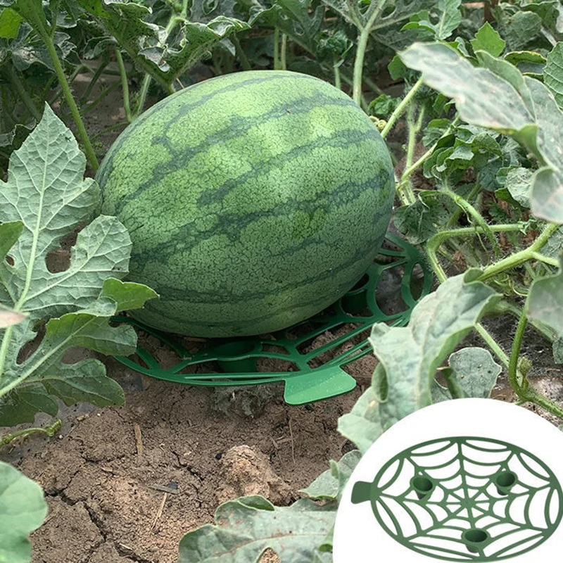 1PC Watermelon Stand Frame Holder Plant Tray Fruit Support Rack Vegetables Gardening Stand Plant Support Garden Tools
1PC Watermelon Stand Frame Holder Plant Tray Fruit Support Rack Vegetables Gardening Stand Plant Support Garden Tools