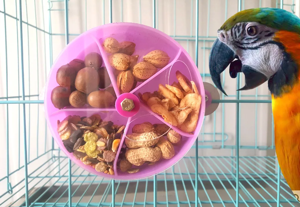 Parrot Biting Toy Bird Toy Wheel Cake Foraging Device Interactive Feeding Toy Foraging Ball Divided Food Box
Parrot Biting Toy Bird Toy Wheel Cake Foraging Device Interactive Feeding Toy Foraging Ball Divided Food Box