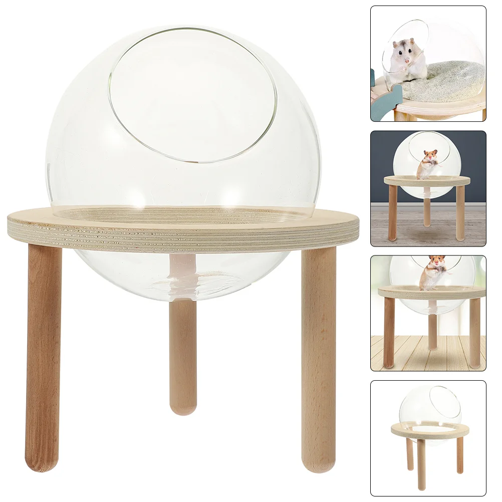 Small Sand Bath Box Cage Hamster Bathtub Household Hamster Bathroom Small Pet Accessory
Small Sand Bath Box Cage Hamster Bathtub Household Hamster Bathroom Small Pet Accessory