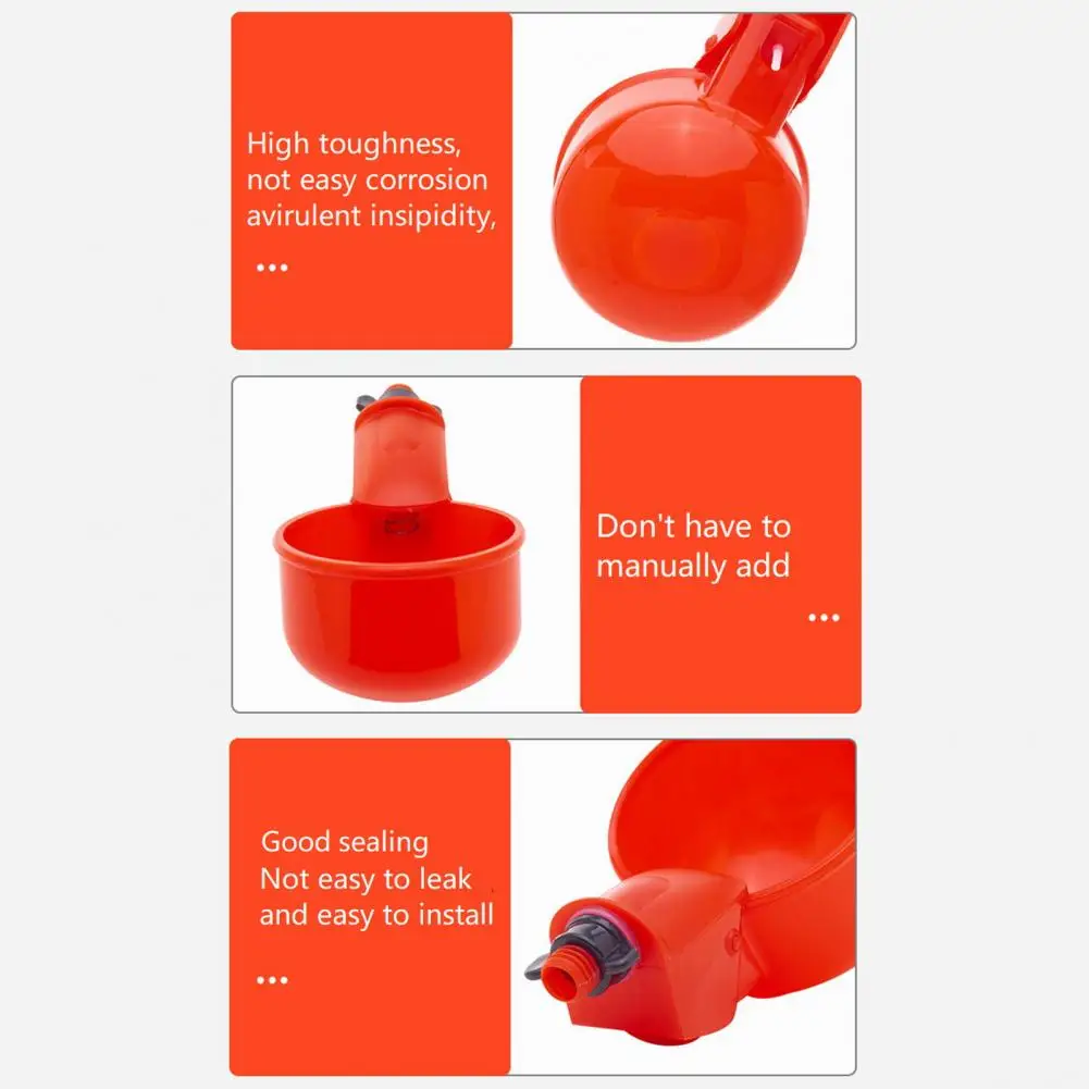 Useful Spring Loaded Control Easy Cleaning Chicken Drinking Cup Automatic Drinker Plastic Chicken Waterer Poultry Supplies
Useful Spring Loaded Control Easy Cleaning Chicken Drinking Cup Automatic Drinker Plastic Chicken Waterer Poultry Supplies