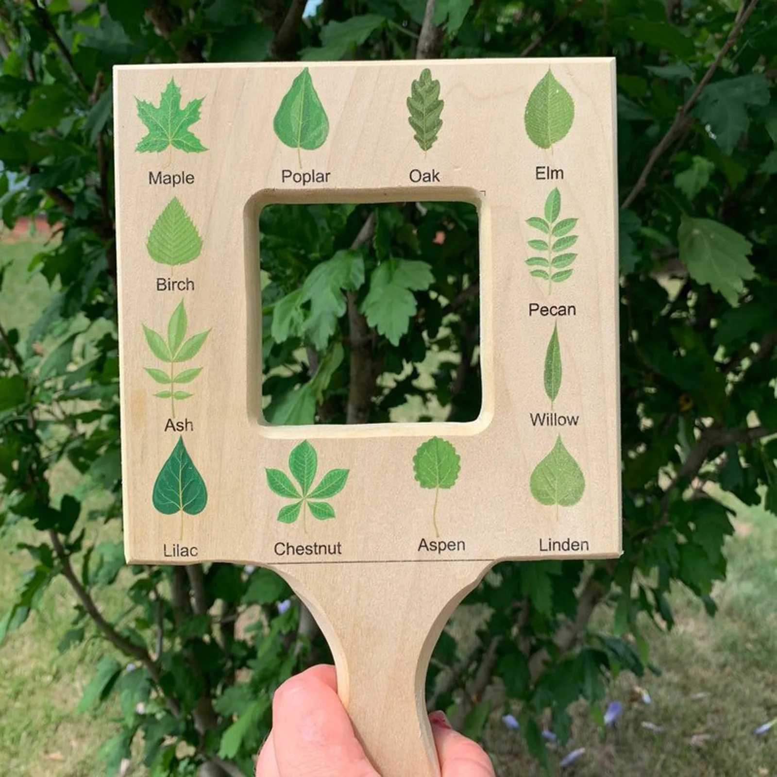 Nature Guide Finder Leaf Finder Cloud Viewer Cloud Identification Guide Nature Guide Frame Homeschooling Materials Montessori
Nature Guide Finder Leaf Finder Cloud Viewer Cloud Identification Guide Nature Guide Frame Homeschooling Materials Montessori