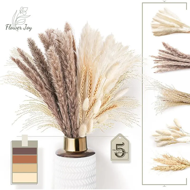 100Pcs Natural Fluffy Pampas Dried Flowers Bouquet Boho Home Decor Rabbit Tail Grass Artifical Flower Wedding Party Decoration
100Pcs Natural Fluffy Pampas Dried Flowers Bouquet Boho Home Decor Rabbit Tail Grass Artifical Flower Wedding Party Decoration