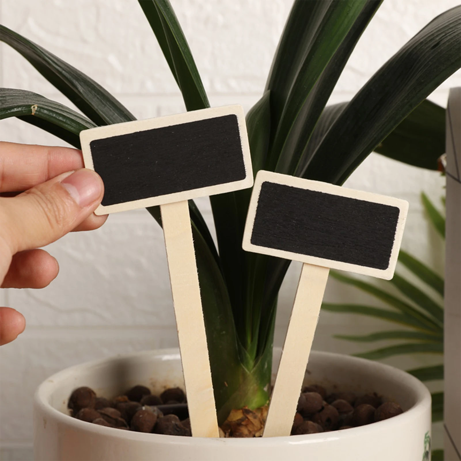 20pcs Nursery Garden Plant Labels Garden Labels Markers Nursery Plastic Garden Tag for Home Gardening Orchards Decor HANW88
20pcs Nursery Garden Plant Labels Garden Labels Markers Nursery Plastic Garden Tag for Home Gardening Orchards Decor HANW88