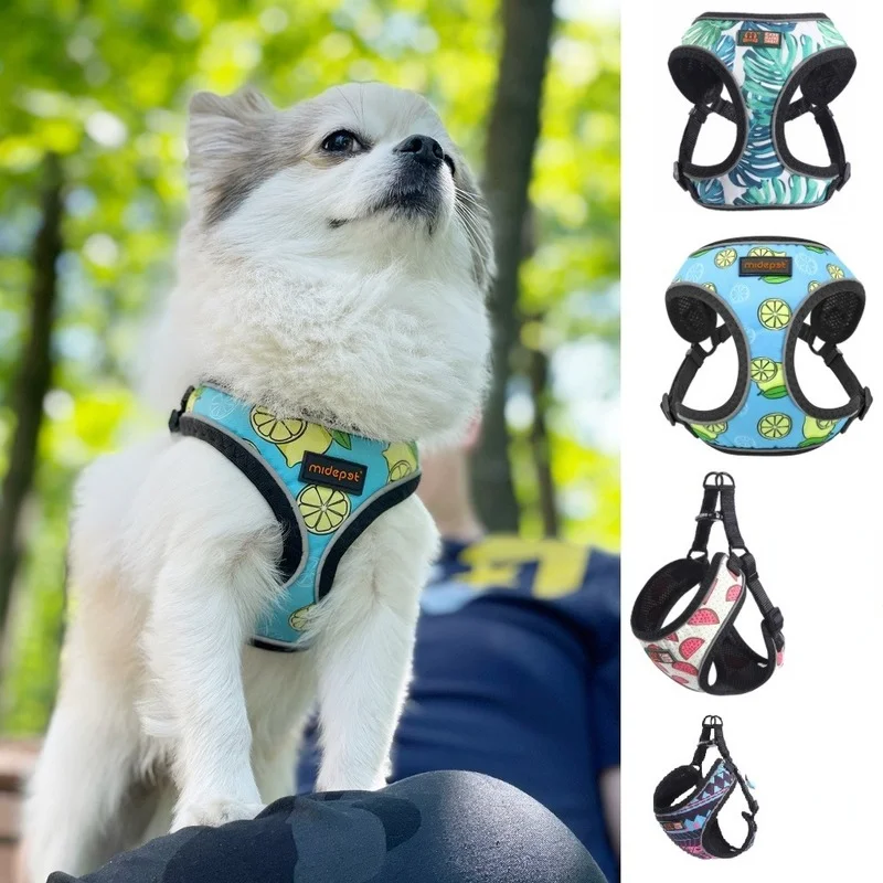 Dog Leash Vest Style Pet Harness Printed Cat Puppy Harness Mesh Reflective Harness for Small Dogs Cat Chihuahua Yorkshire
Dog Leash Vest Style Pet Harness Printed Cat Puppy Harness Mesh Reflective Harness for Small Dogs Cat Chihuahua Yorkshire
