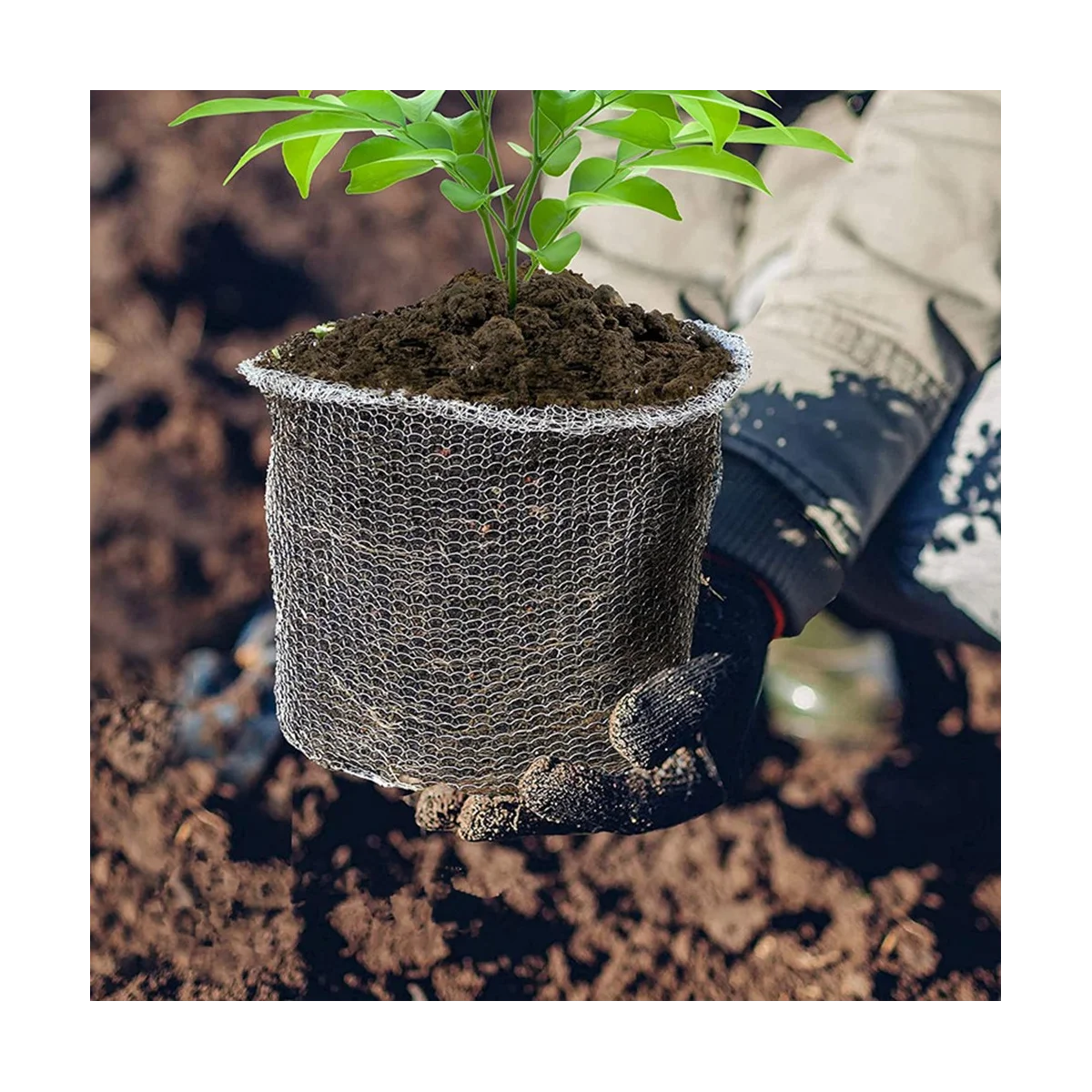 8Pcs Dense Mesh Plant Root Protector 5 Gallon Gopher Root Wire Basket Stainless Steel Reusable Garden Durable
8Pcs Dense Mesh Plant Root Protector 5 Gallon Gopher Root Wire Basket Stainless Steel Reusable Garden Durable