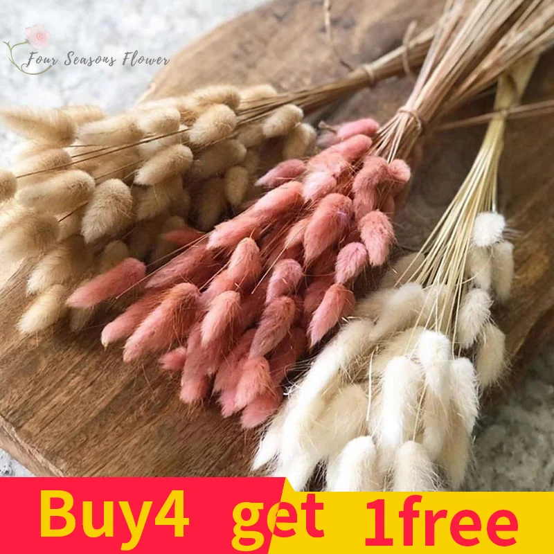 100pcs Bunny Tails Dried Flowers Natural Rabbit Bouquets For Nordic Party Decor Fluffy Pamas Grass Wedding Home Table Decoration
100pcs Bunny Tails Dried Flowers Natural Rabbit Bouquets For Nordic Party Decor Fluffy Pamas Grass Wedding Home Table Decoration
