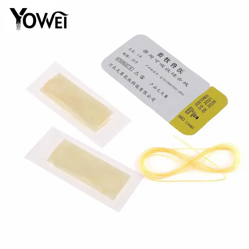 1bag/1mter Veterinary Protein Absorbable Suture Thread Stainless Steel Needle Collagen Catgut Pig Cattle Cow Dog Rabbit Horse
1bag/1mter Veterinary Protein Absorbable Suture Thread Stainless Steel Needle Collagen Catgut Pig Cattle Cow Dog Rabbit Horse