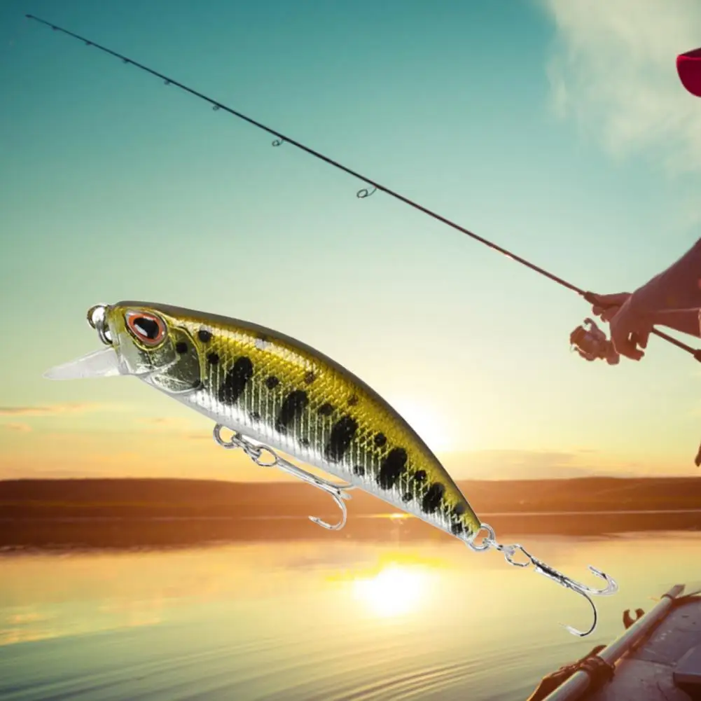 5.5cm/5g Practical Artificial Fishing Lure Anti-corrosion Double Circle Lure Bait Fishing Accessories Fishing Bait
5.5cm/5g Practical Artificial Fishing Lure Anti-corrosion Double Circle Lure Bait Fishing Accessories Fishing Bait