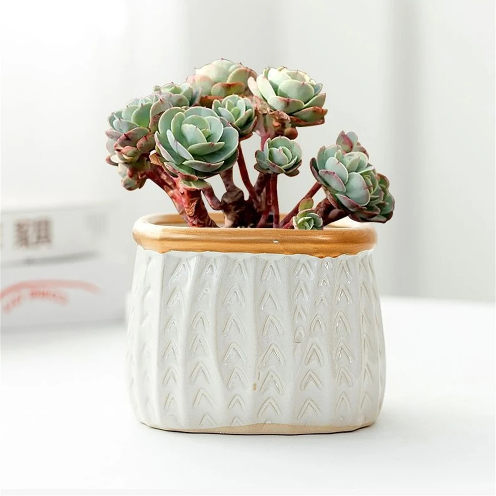 Multi-function Ceramic Flower Pot For Plants Planting Fleshy Flowerpot For Succulent Cactus Plants For Gifts Plant Pot 11 * 9cm
Multi-function Ceramic Flower Pot For Plants Planting Fleshy Flowerpot For Succulent Cactus Plants For Gifts Plant Pot 11 * 9cm