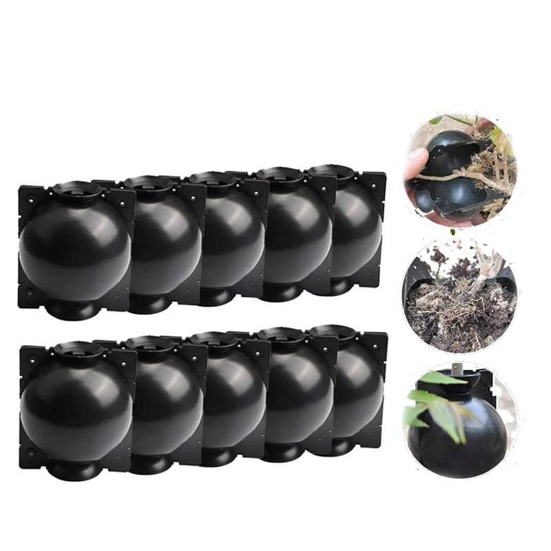 

Garden Tools 10pcs Plant Rooting Ball Grafting Growing Nursery Box Breeding Plant Root Container High Pressure Case