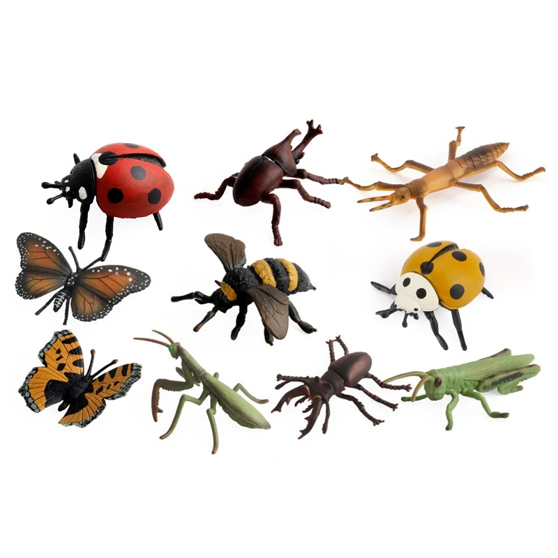 10PCS Simulation Insect Model Toys Children's Insect Statuette Home Ornaments Kids Cognitive Educational Toys
10PCS Simulation Insect Model Toys Children's Insect Statuette Home Ornaments Kids Cognitive Educational Toys