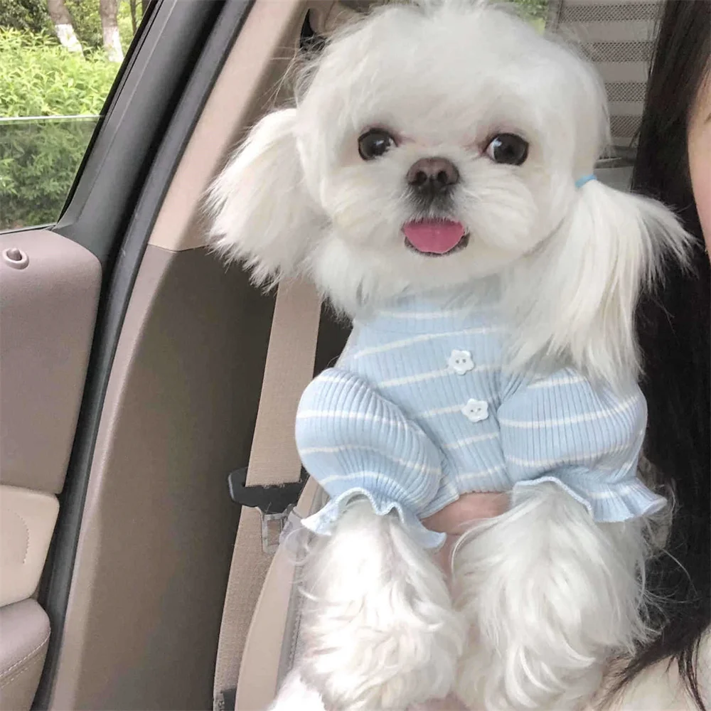 Dog Skirt Short Type Stripes Pet Dress Cat Clothing Puppy Costume Small Dog Clothes Yorkshire Chihuahua Dress Pet Products
Dog Skirt Short Type Stripes Pet Dress Cat Clothing Puppy Costume Small Dog Clothes Yorkshire Chihuahua Dress Pet Products