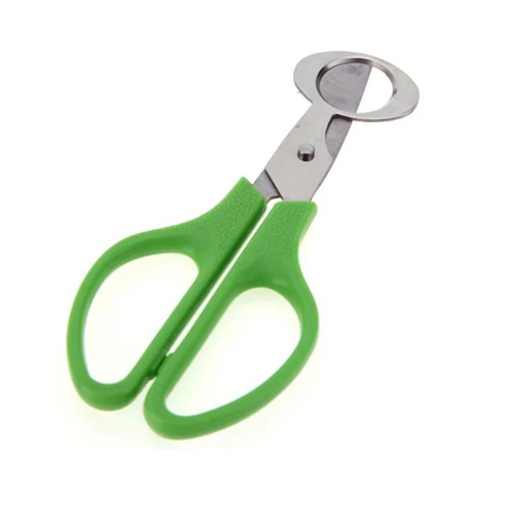 Safe Quail Egg Scissors Egg Cutter 14cm 2pc Easy Easily Cut Off The Top Of The Eggshell To Be Able To Pour Out The Egg
Safe Quail Egg Scissors Egg Cutter 14cm 2pc Easy Easily Cut Off The Top Of The Eggshell To Be Able To Pour Out The Egg