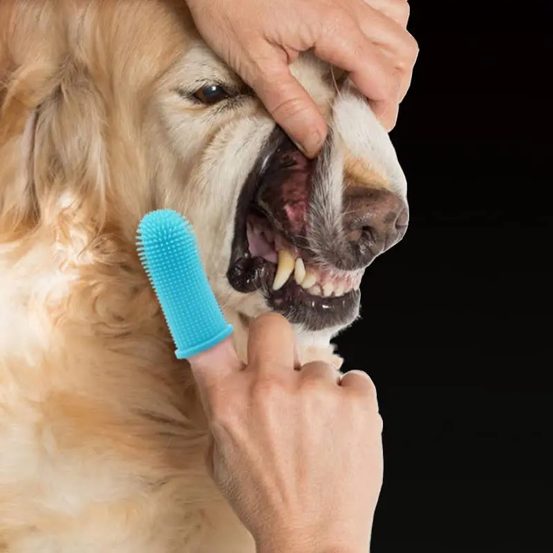 Dog Super Soft Pet Finger Toothbrush Teeth Cleaning Bad Breath Care Nontoxic Silicone Tooth Brush Tool Dog Cat Cleaning Supplies
Dog Super Soft Pet Finger Toothbrush Teeth Cleaning Bad Breath Care Nontoxic Silicone Tooth Brush Tool Dog Cat Cleaning Supplies