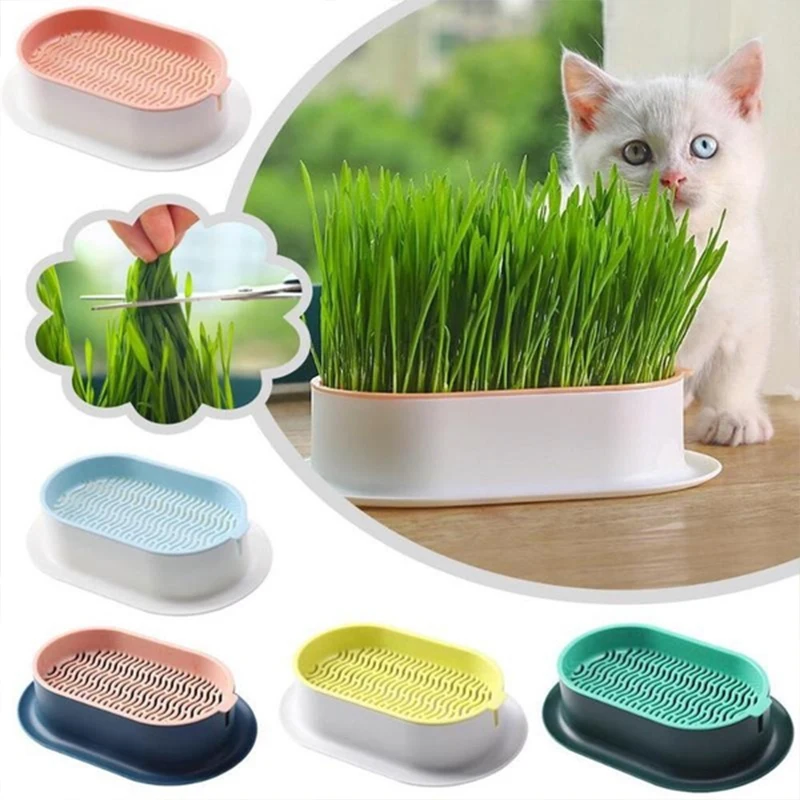 Grow Cat Box Starter Germination Growing Greenhouse Nursery Grass Grass Tray Plant Dish Pet Hydroponics Cat Pot Digestion
Grow Cat Box Starter Germination Growing Greenhouse Nursery Grass Grass Tray Plant Dish Pet Hydroponics Cat Pot Digestion