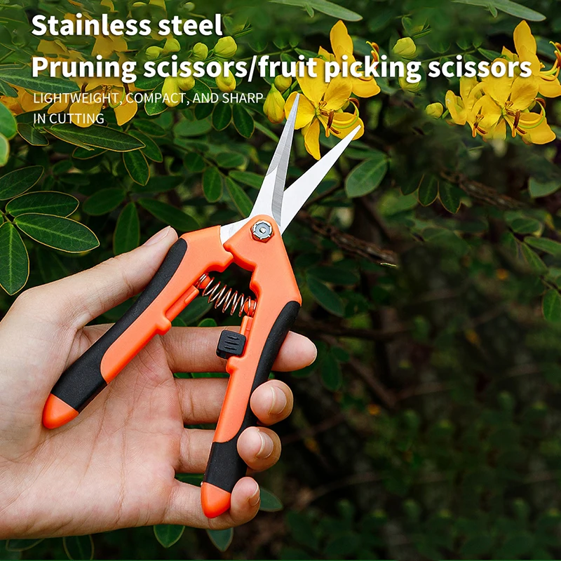 1PC Stainless Steel Fruit Grape Picking Scissors Garden Pruning Shears Horticulture Leaf Trimmer Straight Elbow Pruning Tools
1PC Stainless Steel Fruit Grape Picking Scissors Garden Pruning Shears Horticulture Leaf Trimmer Straight Elbow Pruning Tools