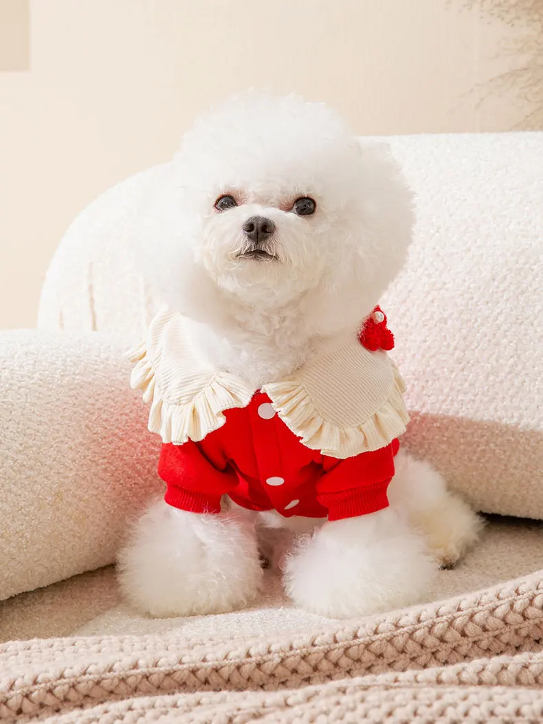 Doll Collar Sweater Teddy Bear Bomei Schnauzer Small Puppy Pet Clothes In Autumn and Winter
Doll Collar Sweater Teddy Bear Bomei Schnauzer Small Puppy Pet Clothes In Autumn and Winter