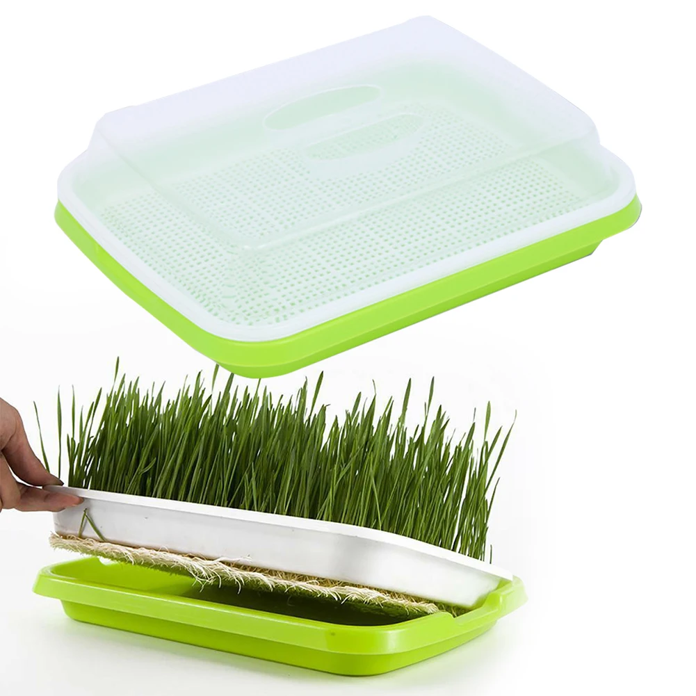 1PC Microgreens Sprouting Tray Hydroponic / Sprouting Tray For Sprouts Horticultural Hydroponic System Tray Nursery Potted
1PC Microgreens Sprouting Tray Hydroponic / Sprouting Tray For Sprouts Horticultural Hydroponic System Tray Nursery Potted