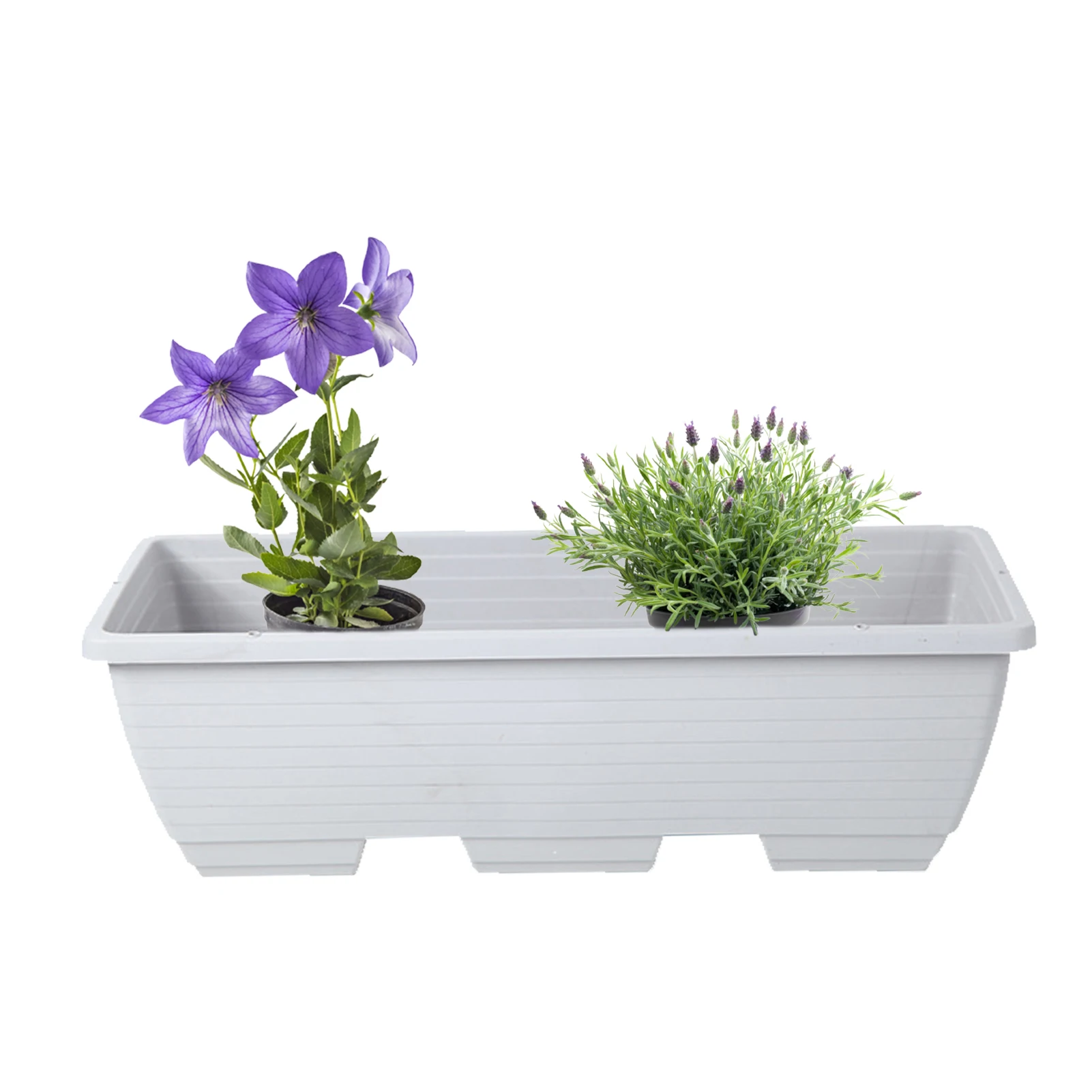 Planter Box Flower Window Box Vegetable Planters Outdoor Balcony Window Planter Box Home Decor For Windowsill Patio Garden Porch
Planter Box Flower Window Box Vegetable Planters Outdoor Balcony Window Planter Box Home Decor For Windowsill Patio Garden Porch