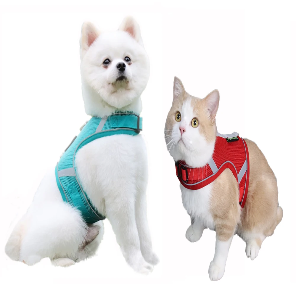 Pet Vest Harness Leash Set Breathable Polyester Mesh Reflective Chest Strap For Dog Cat Training Leash Suit Pets Accessories
Pet Vest Harness Leash Set Breathable Polyester Mesh Reflective Chest Strap For Dog Cat Training Leash Suit Pets Accessories