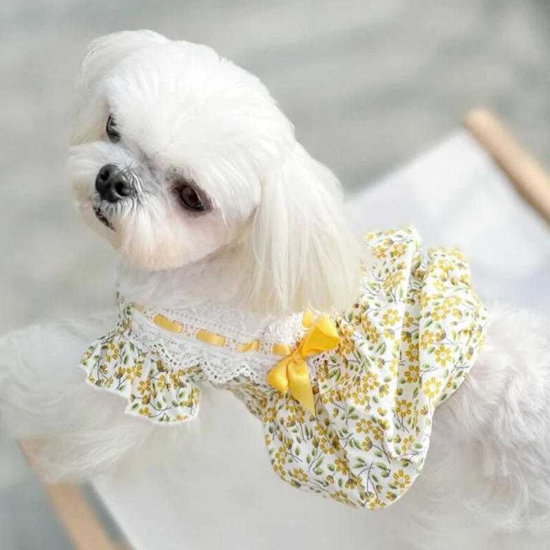 Summer Dog Clothes Dog Dress Cat Puppy Skirt Yorkshire Terrier Pomeranian Shih Tzu Maltese Poodle Bichon Chihuahua Clothing XS
Summer Dog Clothes Dog Dress Cat Puppy Skirt Yorkshire Terrier Pomeranian Shih Tzu Maltese Poodle Bichon Chihuahua Clothing XS