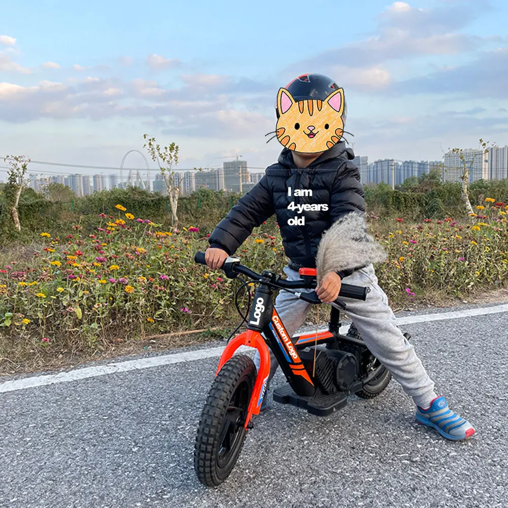 OEM elektrik 12 inch child children's kids self balancing electric balance e bike for kids baby
OEM elektrik 12 inch child children's kids self balancing electric balance e bike for kids baby
