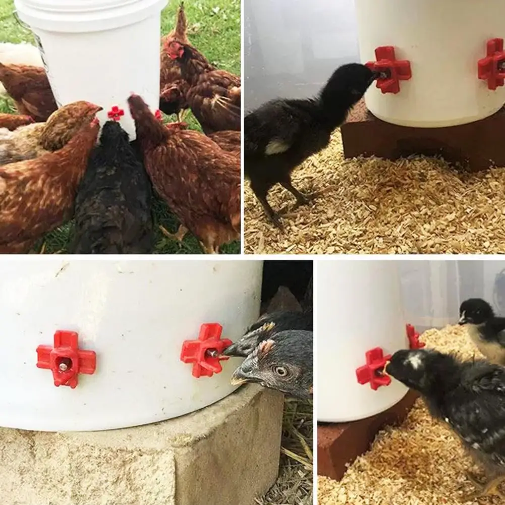 Chicken Waterer Nipples Automatic Outdoor Poultry Waterer Nipples Easy Installation 20pcs Chicken Accessories Poultry Nipples
Chicken Waterer Nipples Automatic Outdoor Poultry Waterer Nipples Easy Installation 20pcs Chicken Accessories Poultry Nipples