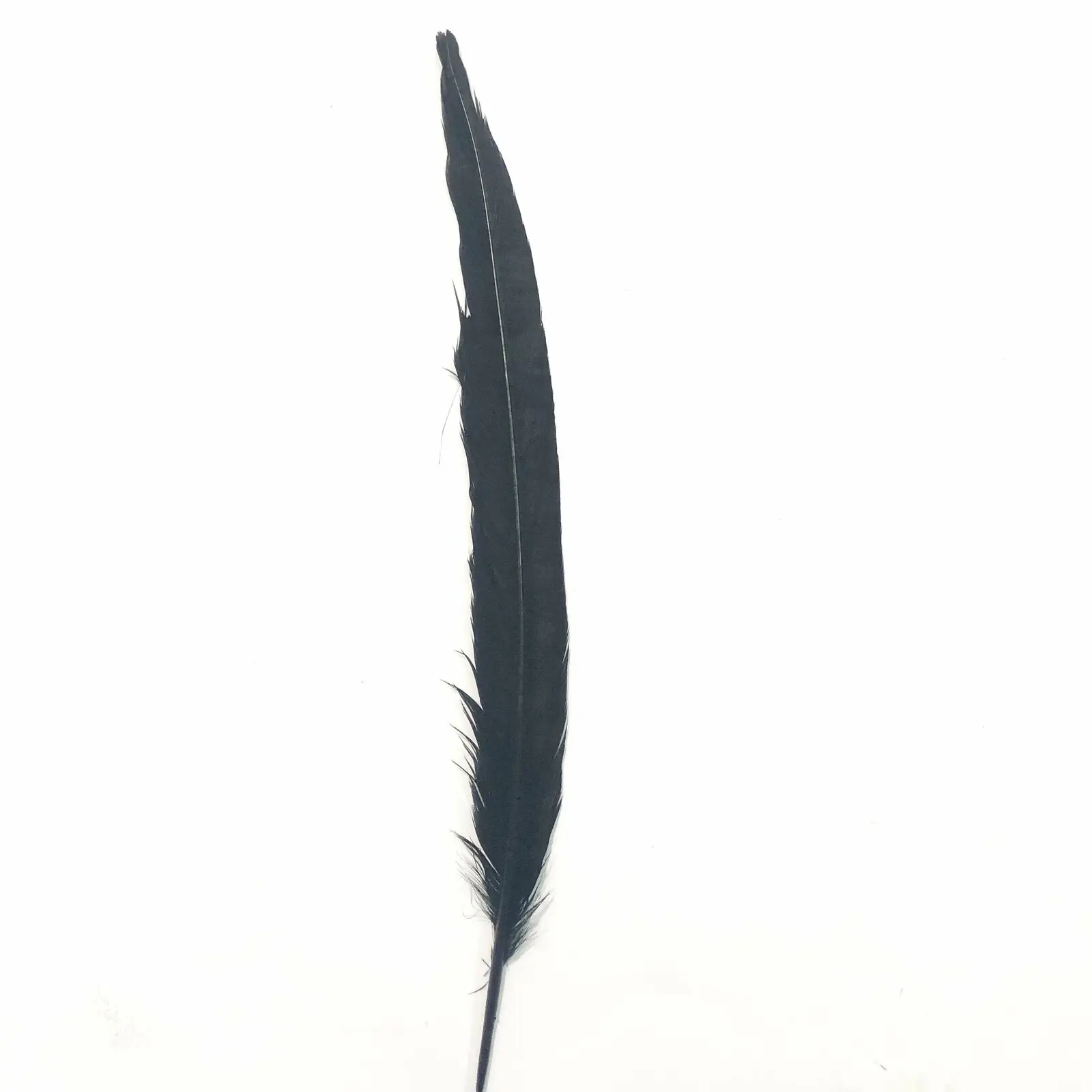 50PCS 50-100CM Long Dye Black Reeves Venery Pheasant Tail Feathers Reeves Chicken Feathers for Crafts Jewelry Making Decorative
50PCS 50-100CM Long Dye Black Reeves Venery Pheasant Tail Feathers Reeves Chicken Feathers for Crafts Jewelry Making Decorative