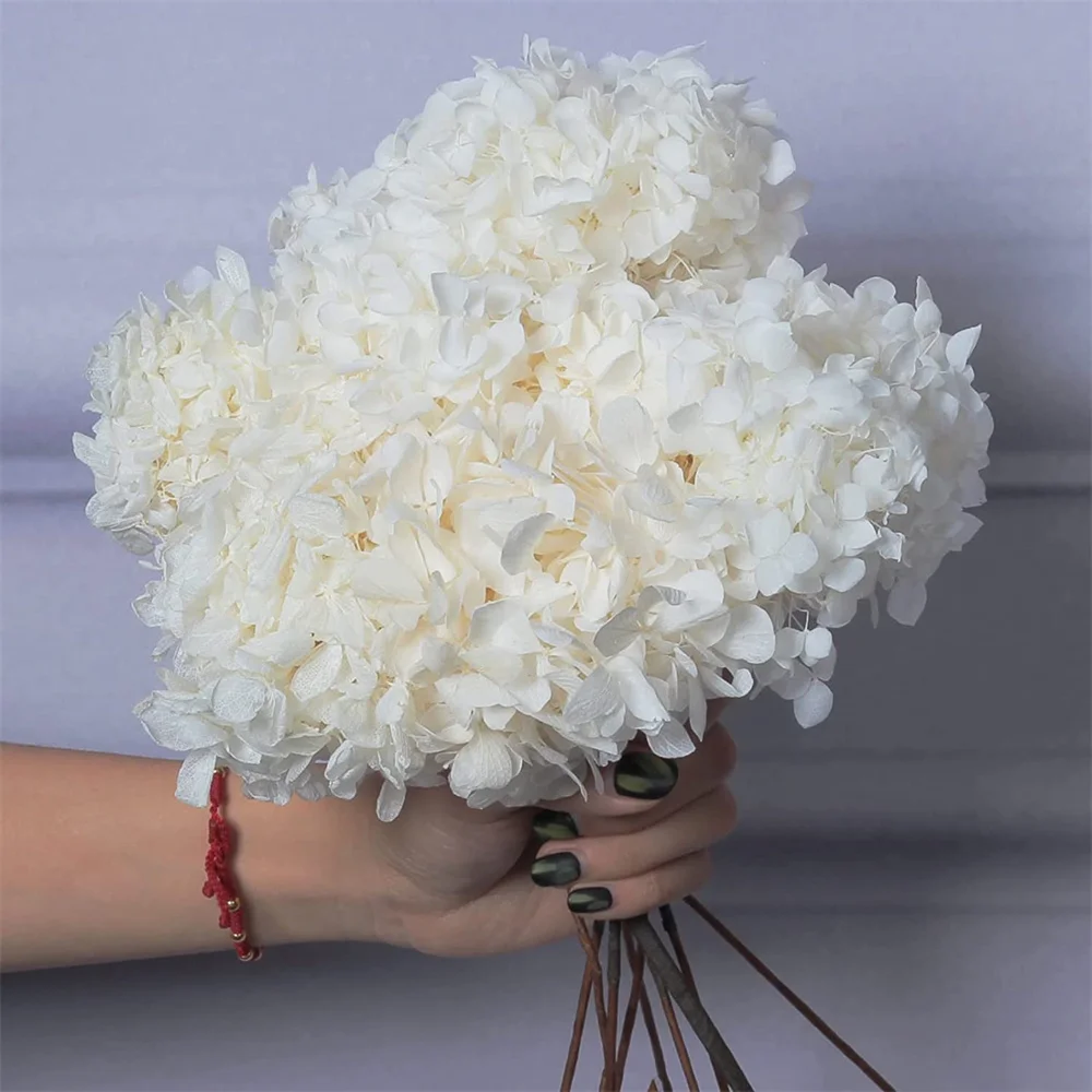 5PCS Dried Preserved White Hydrangea Flowers Real Hydrangeas Petals for Vase,Arrangement Boho Home Wedding Baby Shower Decor DIY
5PCS Dried Preserved White Hydrangea Flowers Real Hydrangeas Petals for Vase,Arrangement Boho Home Wedding Baby Shower Decor DIY