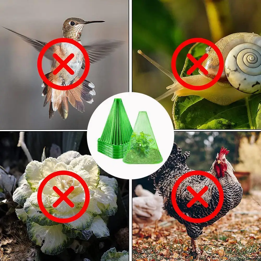 10/20/30pcs Plant Hats Protection Against Snails Weather Plant Plant Ideal Bell Height 23.5CM As Cover Protection Influence S1A7
10/20/30pcs Plant Hats Protection Against Snails Weather Plant Plant Ideal Bell Height 23.5CM As Cover Protection Influence S1A7