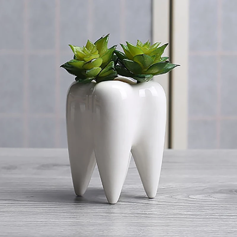 Modern Style Teeth Pots Ceramic Flower Pot Teeth Shape Flowerpot White Ceramic Succulent Flower Pot Bonsai Set Of 4
Modern Style Teeth Pots Ceramic Flower Pot Teeth Shape Flowerpot White Ceramic Succulent Flower Pot Bonsai Set Of 4