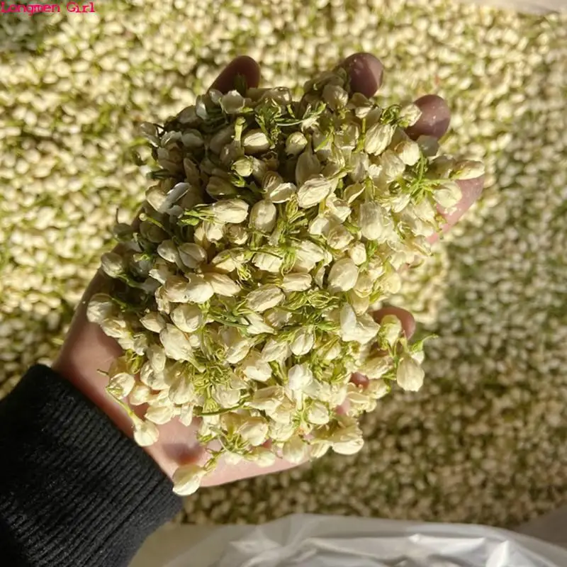800g High Quality Natural Jasmine Buds Organic Dried Jasmine Flowers For Soap Candle Diy Craft Making Party Wedding Decoration
800g High Quality Natural Jasmine Buds Organic Dried Jasmine Flowers For Soap Candle Diy Craft Making Party Wedding Decoration