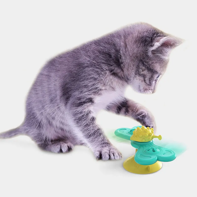 Игрушки для кошек, забавный вращающийся круг для кошек, игрушки для домашних питомцев, воронка для кошек, спортивные тренировочные игрушки ...
Игрушки для кошек, забавный вращающийся круг для кошек, игрушки для домашних питомцев, воронка для кошек, спортивные тренировочные игрушки ...
