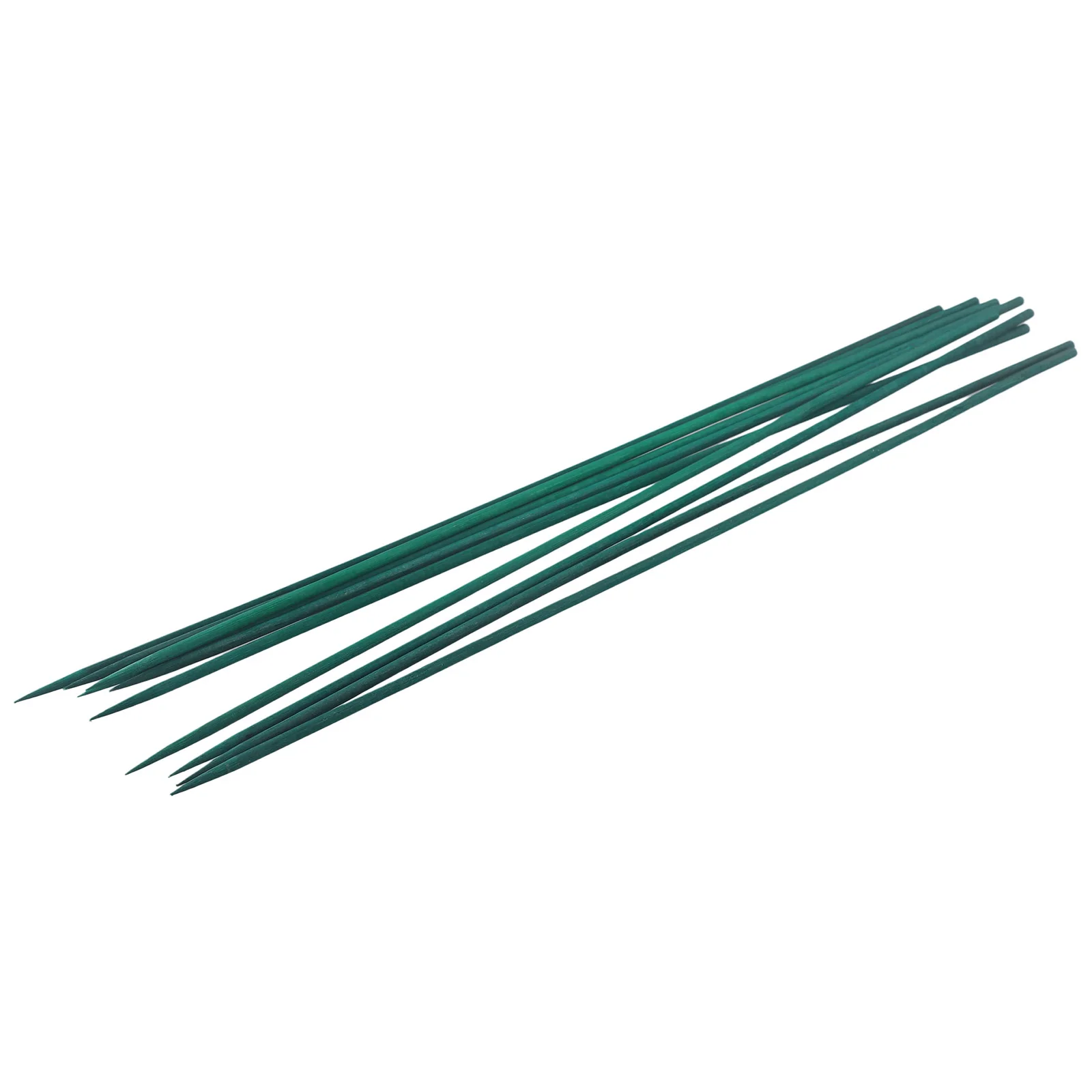 10PCS 40cm Plant Stake Green Plant Support Sticks Canes For Flowers Yard Garden Floral Plant Support Stakes Garden Supplies
10PCS 40cm Plant Stake Green Plant Support Sticks Canes For Flowers Yard Garden Floral Plant Support Stakes Garden Supplies