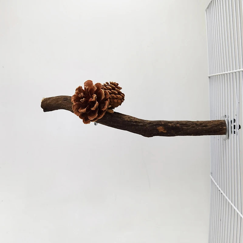 Durable and Natural Wooden Perch Birds - Perfect for Parrots and Cockatiels to Exercise and Keep Beaks Trimmed - Bird Stand Toy
Durable and Natural Wooden Perch Birds - Perfect for Parrots and Cockatiels to Exercise and Keep Beaks Trimmed - Bird Stand Toy