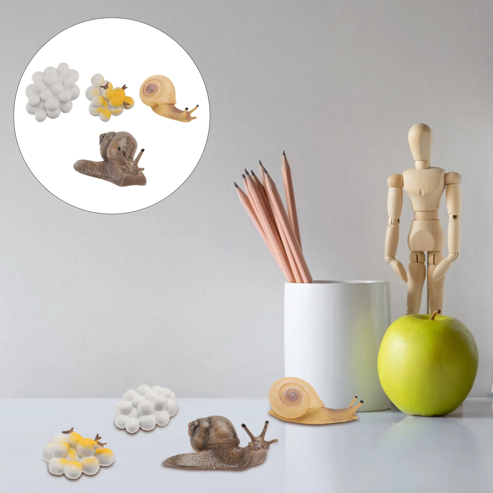 4 Pcs Turtle Decor Simulated Snail Ornaments Growth Cycle Statue Animals Figurines Gift Plastic Kids Plaything Toy Life Child
4 Pcs Turtle Decor Simulated Snail Ornaments Growth Cycle Statue Animals Figurines Gift Plastic Kids Plaything Toy Life Child