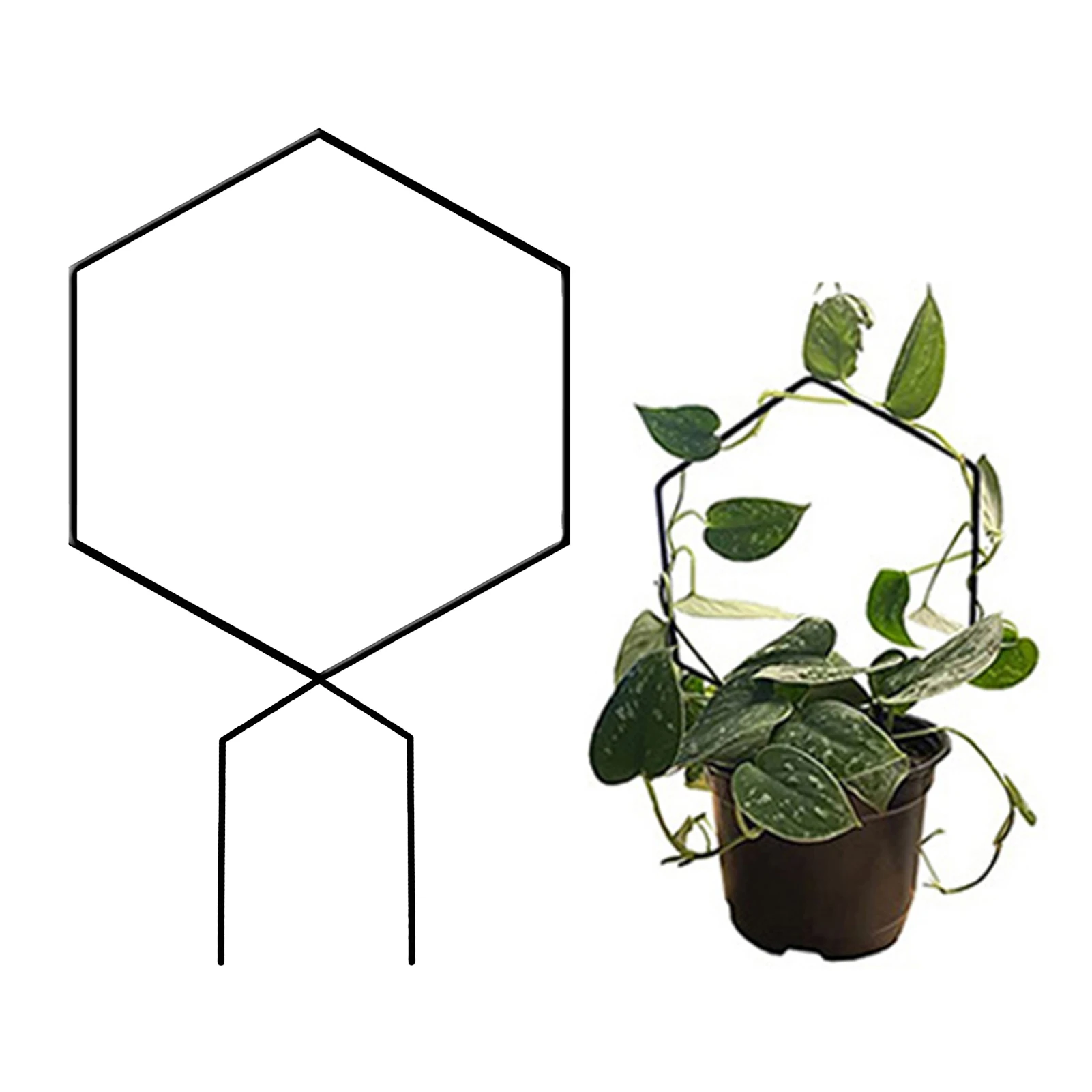 Garden Trellis For Climbing Plants Rust-Proof Iron Metal Indoor Plant Trellis Plant Support With Black Rust Proof Coating
Garden Trellis For Climbing Plants Rust-Proof Iron Metal Indoor Plant Trellis Plant Support With Black Rust Proof Coating