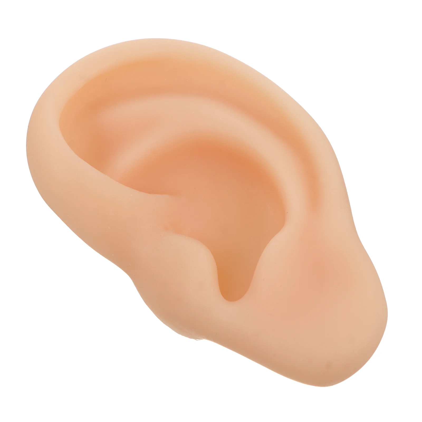 Silicone Ear Simulation Left Model Tool Display Training Silica Gel Presentation
Silicone Ear Simulation Left Model Tool Display Training Silica Gel Presentation