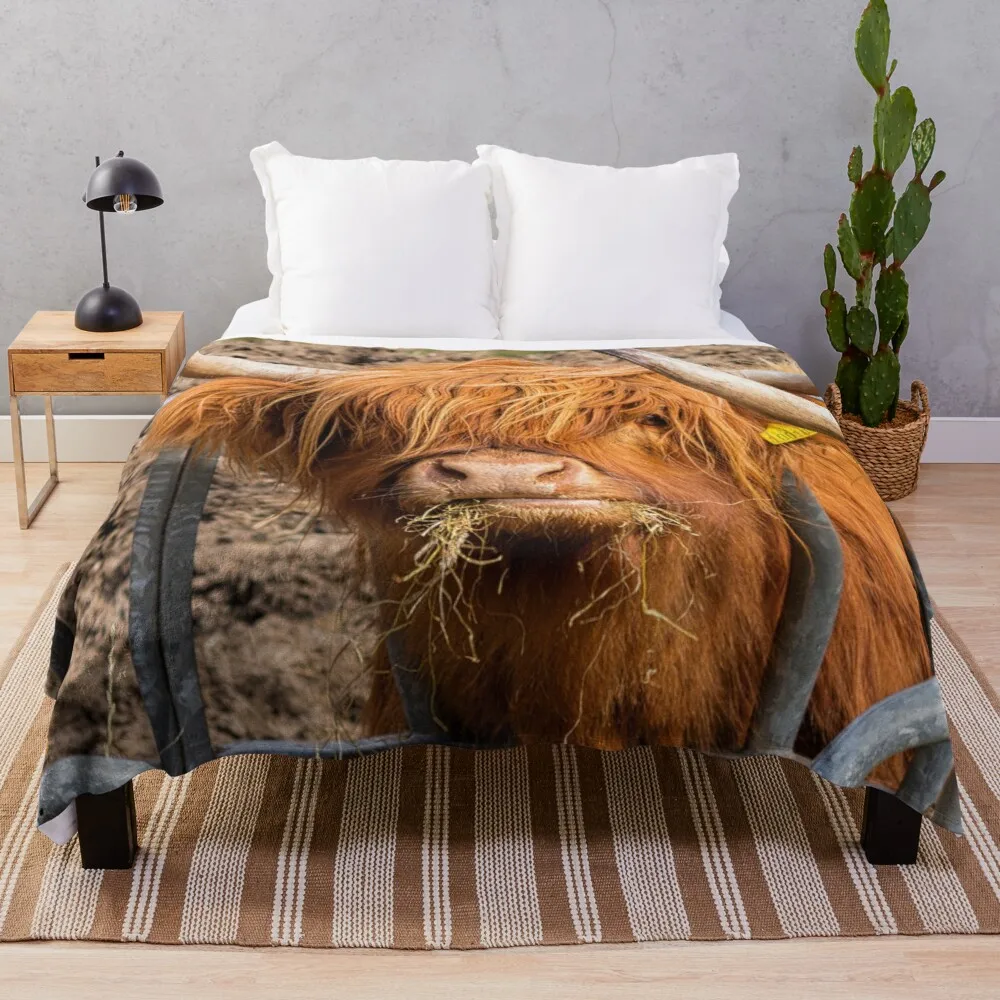 

Cute hungry ginger Scottish Highland cow Throw Blanket Blanket For Giant Sofa Sofa Quilt Large Blanket Thermal Blanket