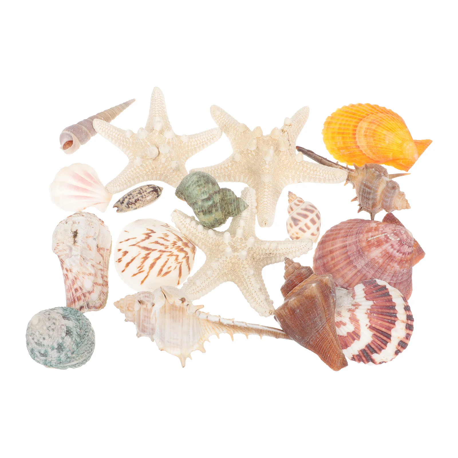 Ракушки ракушки Декор Морская звезда ракушки морской океан аквариум натуральный Сделай Сам изготовление свечей поделки подарок маме на де... 
Ракушки ракушки Декор Морская звезда ракушки морской океан аквариум натуральный Сделай Сам изготовление свечей поделки подарок маме на де...