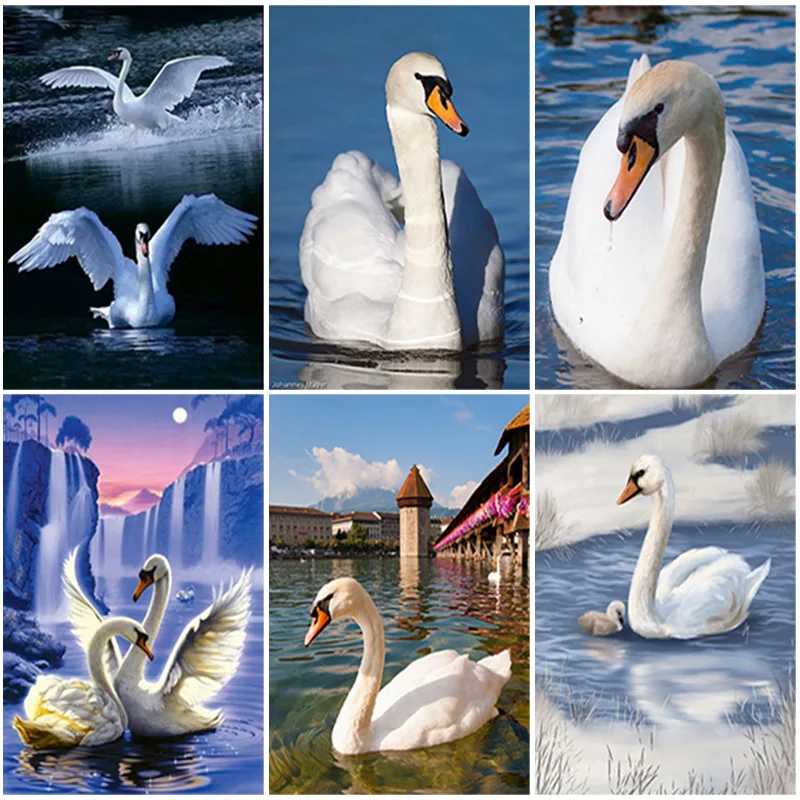 DIY Swan 5D Diamond Painting Full Square Drill Mosaic Cross Stitch Kit Animal Diamond Embroidery Rhinestone Wall Art Home Decor
DIY Swan 5D Diamond Painting Full Square Drill Mosaic Cross Stitch Kit Animal Diamond Embroidery Rhinestone Wall Art Home Decor