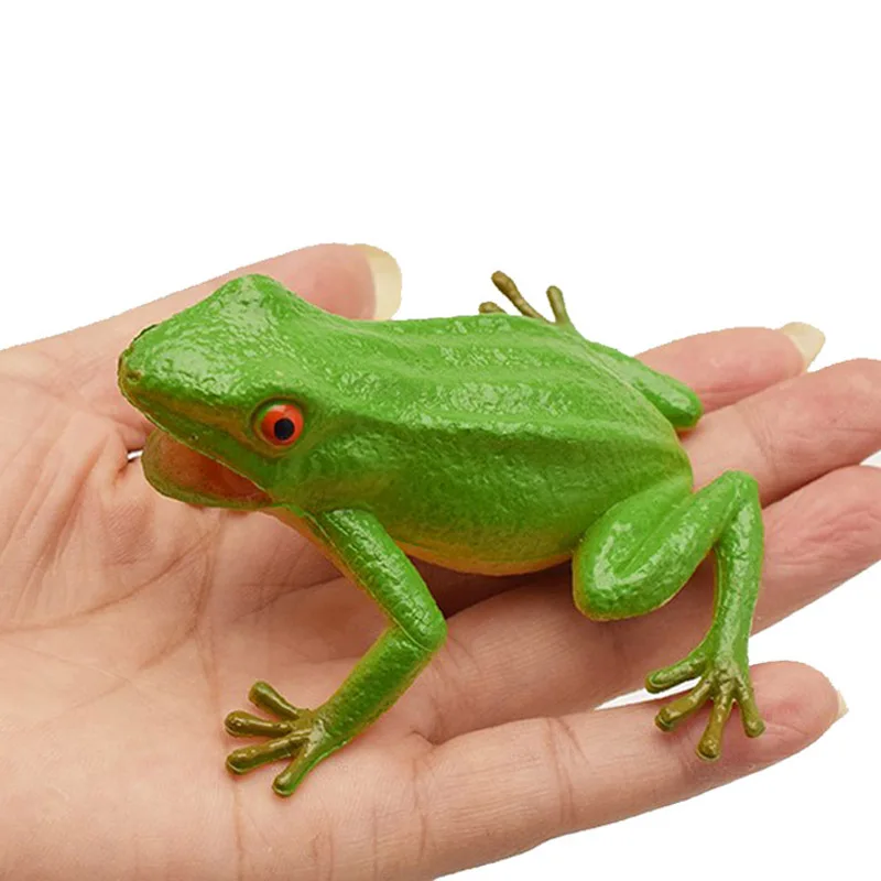 Frog Toy Simulation Animal Squeeze Sound Kids Toys Boys Girls Funny Gadgets Novelty Gifts Niños Regalos Divertidos Cosas Raras
Frog Toy Simulation Animal Squeeze Sound Kids Toys Boys Girls Funny Gadgets Novelty Gifts Niños Regalos Divertidos Cosas Raras