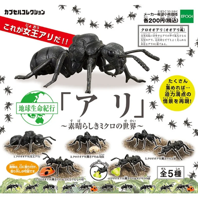 TARLIN Gashapon Figure Anime Kawaii Chronicle Of Life On Earth Killer Whale Lobster Tuna Turtle Miniature Cute Capsule Toy
TARLIN Gashapon Figure Anime Kawaii Chronicle Of Life On Earth Killer Whale Lobster Tuna Turtle Miniature Cute Capsule Toy