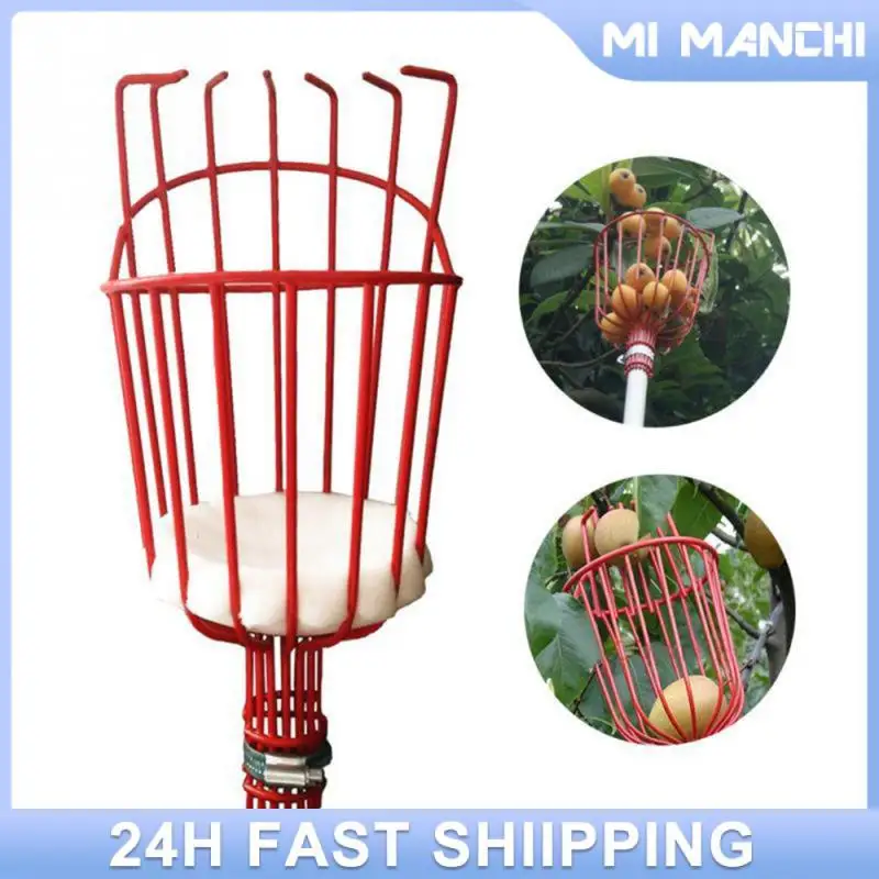 Picking High Altitude Pole Easy To Use Red Fruit Picker Fruit Picking Machine Portable Steel Fruit Collector Garden Tools Sturdy
Picking High Altitude Pole Easy To Use Red Fruit Picker Fruit Picking Machine Portable Steel Fruit Collector Garden Tools Sturdy